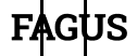 Fagus