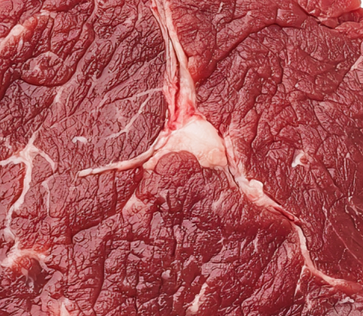 Lamb